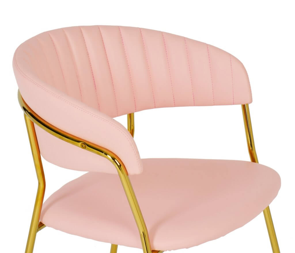 Padma Blush Vegan Leather Chair (Set Of 2) TOV Furniture